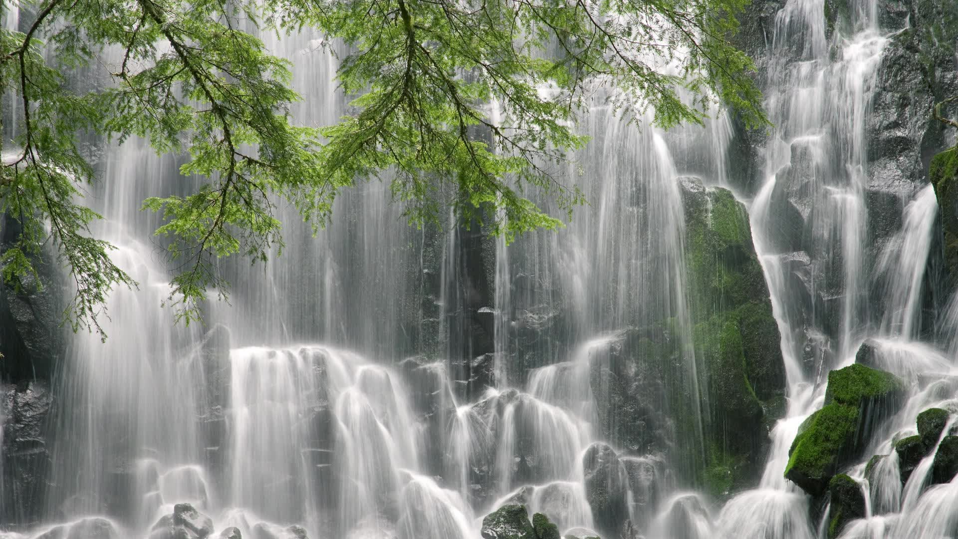 世界游泳接力队训练营营养配餐第三版标准化发布,游泳接力赛世界纪录